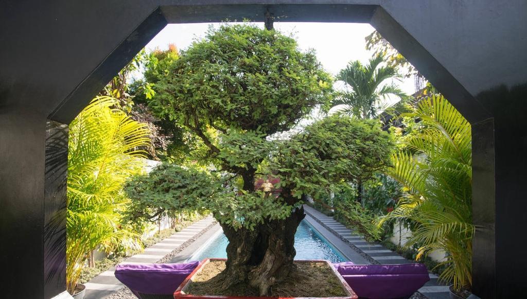 Bonsai Villas Seminyak Kamer foto