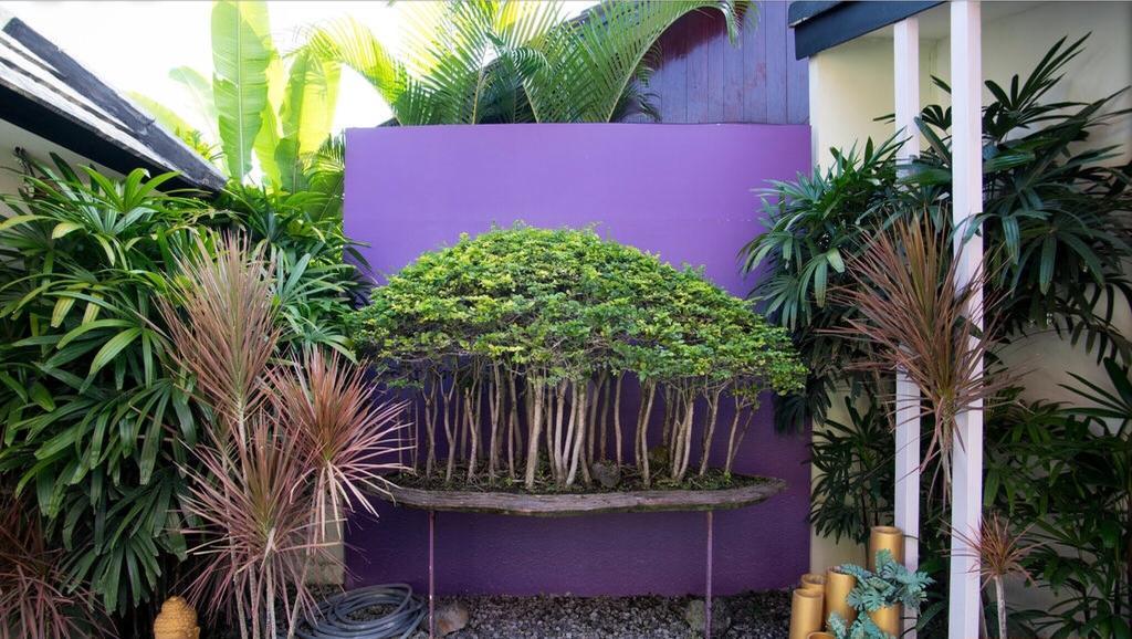Bonsai Villas Seminyak Kamer foto
